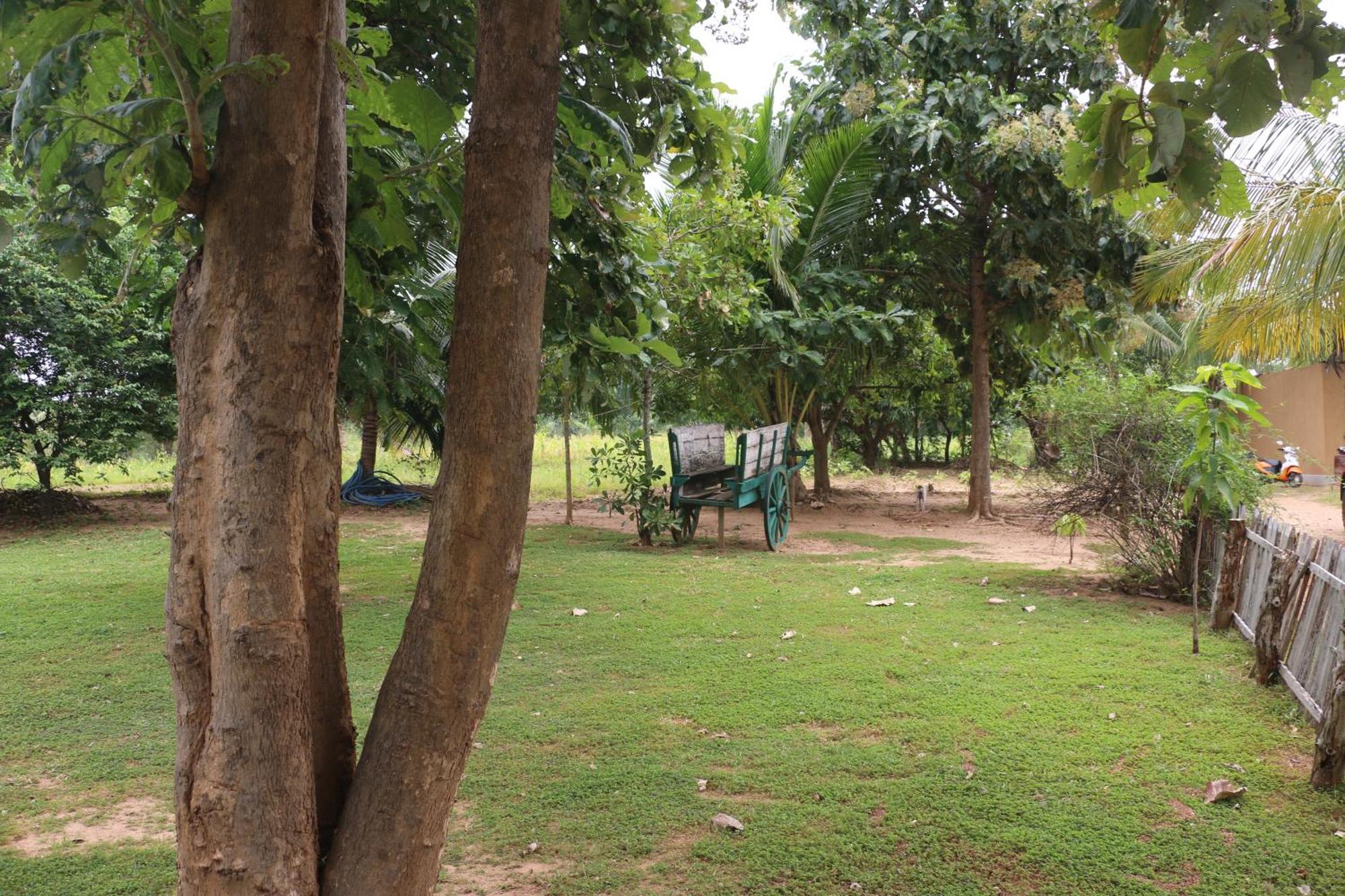 Вилла Wildescape, Yala Blocks 3 & 5 Buttala Экстерьер фото