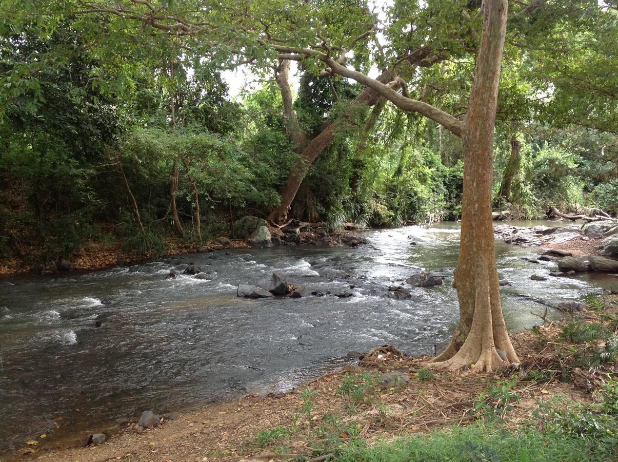 Вилла Wildescape, Yala Blocks 3 & 5 Buttala Экстерьер фото